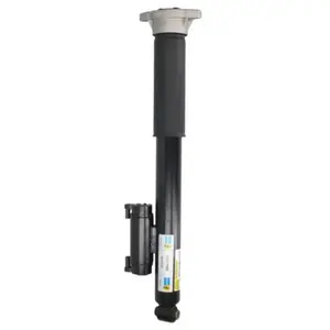 Amortisseur BILSTEIN 24-277969 gauche pas cher
