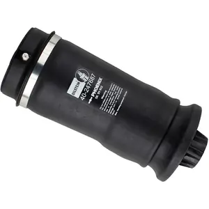 Ressort pneumatique, châssis BILSTEIN - B3 OE Replacement (Air) 40247687