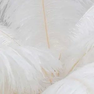 Comparateur de prix : Lampadaire plumes 165cm blanc Kare Design