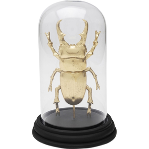 BRAND déco stag beetle doré pas cher