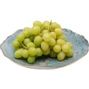 Assiette Mina 26cm bleue Kare Design pas cher