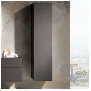 Comparateur de prix : Geberit Xeno² Colonne, 1 porte, 500503431,