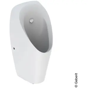 Geberit Tamina Urinoir, 116142001, pas cher