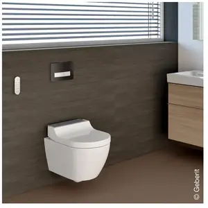Comparateur de prix : Wc complet suspendu lavant Geberit aquaclean Tuma Comfort - Acier inox brossé Geberit