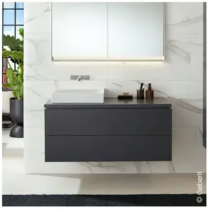 Comparateur de prix : Geberit ONE Meuble sous-vasque, 2 tiroirs, 505264003,