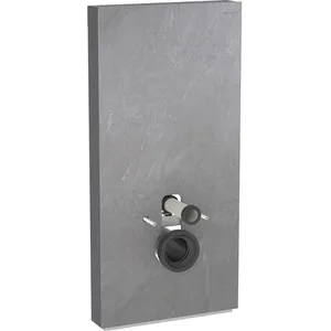 Geberit Monolith Module sanitaire, pour cuvette suspendue, 131022005,