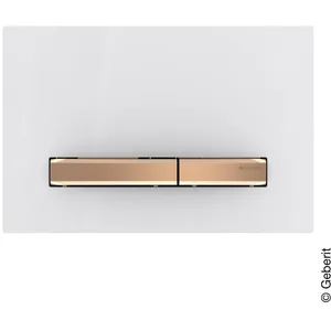 Geberit Sigma50 Plaque de déclenchement Square, 115670112, SquareVendu paramazon