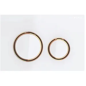 Geberit Sigma21 Plaque de déclenchement, 115650SI1,Vendu paramazon