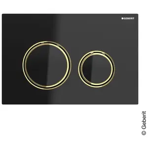 Geberit Sigma50 Plaque de déclenchement Round, 115652SJ1, RoundVendu paramazon