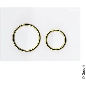 Geberit Sigma21 Plaque de déclenchement, 115652SI1,Vendu paramazon
