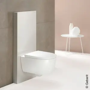Geberit - Monolith plus module sanitaire pour wc suspendu, 114cm,Vendu paramazon