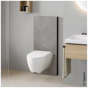 Geberit Monolith Plus Module sanitaire H: 114,5 cm, pour cuvette mural...Vendu paramazon
