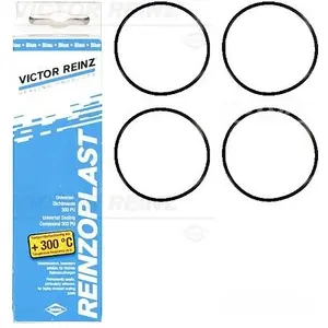 Comparateur de prix : Reinz 15-76741-01 Joints d'étanchéité, Couvre-culasse, Joint de Cache Culbuteurs
