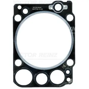 REINZ Joint de culasse (Ref: 61-37190-10) pas cher