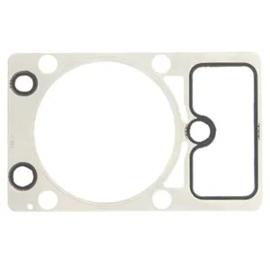 Comparateur de prix : Joint de culasse REINZ 61-36485-00