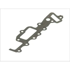 Joint, carter de distribution REINZ 70-27384-10 pas cher
