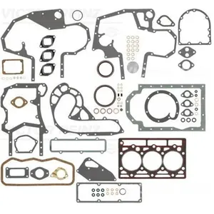 REINZ Pochette de joints moteur (Ref: 01-25300-01) pas cher