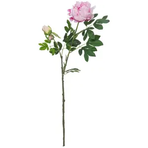 Europalms Bouquet de Pivoine, Rose, 100 cm, Multicolore, Taille UniqueVendu paramazon
