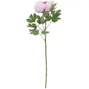 Europalms Peonia Ramo Classico, Rosa, 80cm pas cher