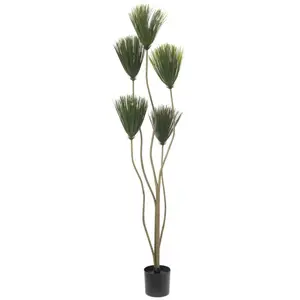 EUROPALMS Plante papyrus, artificielle, 130cm - FleursVendu paramazon