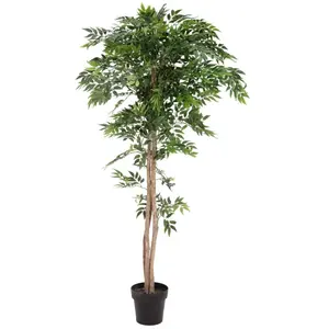 EUROPALMS Ficus longifolia, plante artificielle, 165cm - ArbresVendu paramazon