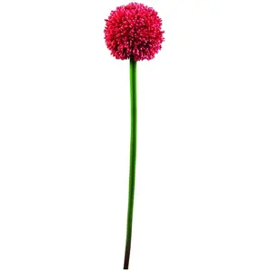Europalms 82530568 55 cm Allium Vaporisateur, Rouge pas cher