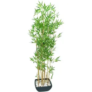 Comparateur de prix : Europalms 61331 Plante de Décoration Bambou dans Bol Vert 150 cm
