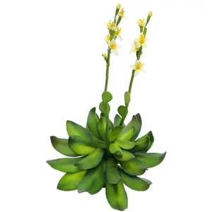 EUROPALMS Houseleeks (EVA), artificielles, jaunes, 32cm - FleursVendu paramazon