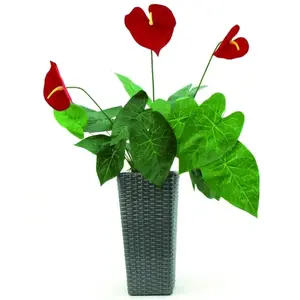 Europalms 61378 Plante de Décoration Anthurium Vert 70 cm
