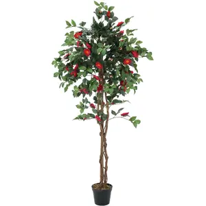EUROPALMS Camelia rouge cimenté, plante artificielle, 180cm - ArbresVendu paramazon