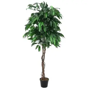 Comparateur de prix : EUROPALMS Jungle tree Mango, plante artificielle, 180cm - Arbres
