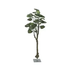 Comparateur de prix : Europalms Pothos Arbre 175 cm