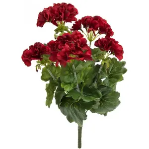 Europalms Géranium Rouge foncé, 42 cm, Multicolore, Taille UniqueVendu paramazon