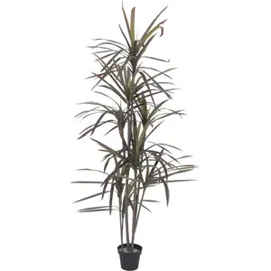 Europalms EUROPALMES Dracaena, vert-rouge, artificiels, 180cm - Fleurs pas cher
