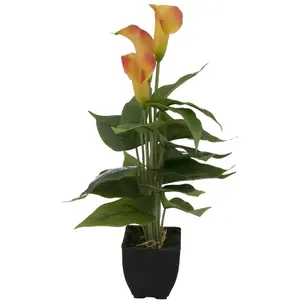 EUROPALMS Mini Calla, plante artificielle, jaune-orange, 43cm - FleursVendu paramazon