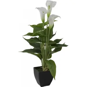 Europalms Mini Calla, blanc, 43 cmVendu paramazon