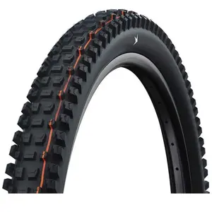 Schwalbe Pneu Vtt Albert Trail Pro Soft Radial Tubeless 2026 29´´ X 2.... pas cher