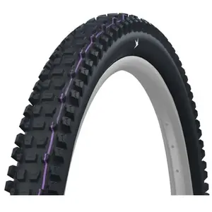 Schwalbe Pneu Vtt Albert Gravity Pro Evo Ultrasoft E-50 Tubeless 29´´ ... pas cher