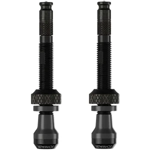 Comparateur de prix : Schwalbe Soupapes Tubeless Presta 60 Mm 2 Unités One Size