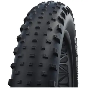 Comparateur de prix : Pneu Fat-Bike Schwalbe Jumbo Jim Performance Line 26ââx4,00 TS noi
