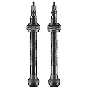 Valve de pneu schwalbe tubeless  60 mm obus demontable  vendu par 2
