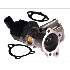 Vanne EGR 7.00020.39.0 Pierburg 7.00020.39.0 pas cher