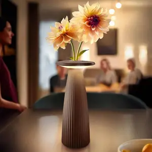Comparateur de prix : Sigor Lampe à poser LED rechargeable Nuflair, IP54, CCT, intensité var...