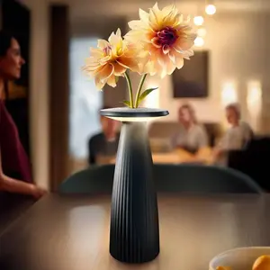 Comparateur de prix : Sigor Lampe à poser LED rechargeable Nuflair, noir, IP54, intensité variable, 24 cm