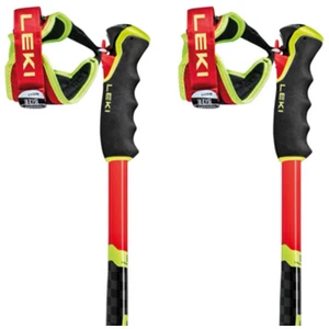Leki Alpino Bâtons Wcr Sg/dh 3d pas cher