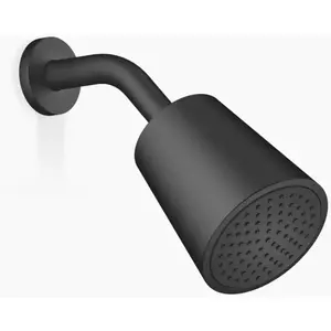 Dornbracht Lissé Set de Douche de tête, 1 jet, 28504979-33, pas cher