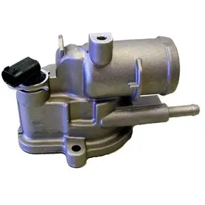 Thermostat d'eau WAHLER 410174.92D pas cher