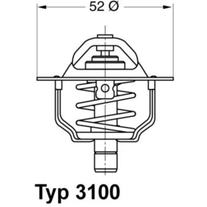 Thermostat d'eau WAHLER 3100.88D pas cher