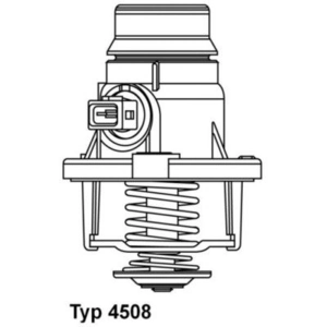 Thermostat d'eau WAHLER 4508.101D pas cher