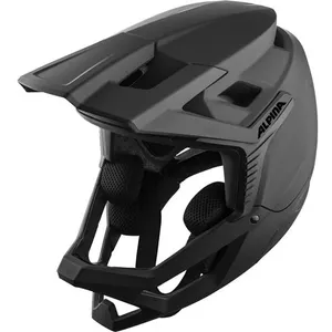 Alpina Casque De Descente Roca pas cher
